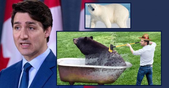 Justin Trudeau Demands All Bears Be Scrubbed To Be Sure They Aren’t Polar Bears In Blackface