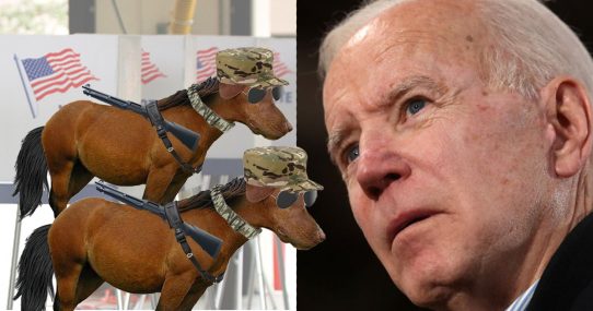 Report: High Turnout Of Dog-Faced Pony Soldiers Could Spell Trouble For Dems In Midterms