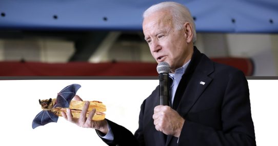 Another Gaffe?  Biden Addresses National Crisis While Eating A Bat Sandwich