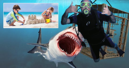 Kids Not Wearing Shark Cages On Beach Cause Scuba Diver’s Shark Cage To Fail