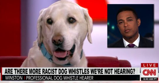CNN Hires Dog To Make Sure They Aren’t Missing Any Racist Dog Whistles