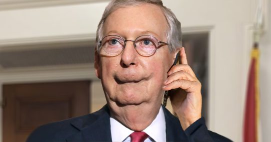 Robocall of Mitch McConnel Making Turtle Sounds Hurt GOP Turnout, Report Says